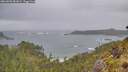 ./images/calvert/foggy-cove/20260605/foggy-cove20260605_081002M.jpg