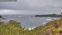 ./images/calvert/foggy-cove/20260605/foggy-cove20260605_081502M.jpg