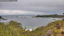 ./images/calvert/foggy-cove/20260605/foggy-cove20260605_083001M.jpg