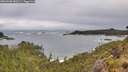 ./images/calvert/foggy-cove/20260605/foggy-cove20260605_083502M.jpg
