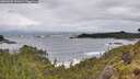 ./images/calvert/foggy-cove/20260605/foggy-cove20260605_091001M.jpg