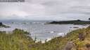 ./images/calvert/foggy-cove/20260605/foggy-cove20260605_091501M.jpg