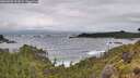 ./images/calvert/foggy-cove/20260605/foggy-cove20260605_092001M.jpg