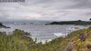 ./images/calvert/foggy-cove/20260605/foggy-cove20260605_093001M.jpg
