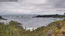 ./images/calvert/foggy-cove/20260605/foggy-cove20260605_093501M.jpg