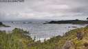 ./images/calvert/foggy-cove/20260605/foggy-cove20260605_094001M.jpg