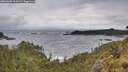 ./images/calvert/foggy-cove/20260605/foggy-cove20260605_094501M.jpg