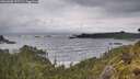 ./images/calvert/foggy-cove/20260605/foggy-cove20260605_095501M.jpg