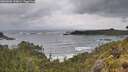 ./images/calvert/foggy-cove/20260605/foggy-cove20260605_100001M.jpg