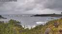 ./images/calvert/foggy-cove/20260605/foggy-cove20260605_100501M.jpg