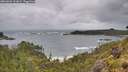 ./images/calvert/foggy-cove/20260605/foggy-cove20260605_101001M.jpg