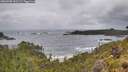 ./images/calvert/foggy-cove/20260605/foggy-cove20260605_101502M.jpg
