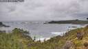 ./images/calvert/foggy-cove/20260605/foggy-cove20260605_102001M.jpg