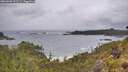 ./images/calvert/foggy-cove/20260605/foggy-cove20260605_102501M.jpg