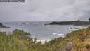 ./images/calvert/foggy-cove/20260605/foggy-cove20260605_103501M.jpg