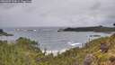 ./images/calvert/foggy-cove/20260605/foggy-cove20260605_104001M.jpg
