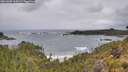 ./images/calvert/foggy-cove/20260605/foggy-cove20260605_104501M.jpg