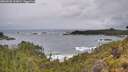./images/calvert/foggy-cove/20260605/foggy-cove20260605_105001M.jpg