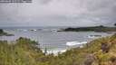 ./images/calvert/foggy-cove/20260605/foggy-cove20260605_105501M.jpg