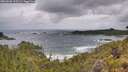 ./images/calvert/foggy-cove/20260605/foggy-cove20260605_110501M.jpg