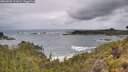 ./images/calvert/foggy-cove/20260605/foggy-cove20260605_111001M.jpg