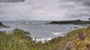 ./images/calvert/foggy-cove/20260605/foggy-cove20260605_112501M.jpg