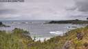 ./images/calvert/foggy-cove/20260605/foggy-cove20260605_113001M.jpg
