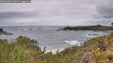 ./images/calvert/foggy-cove/20260605/foggy-cove20260605_113501M.jpg
