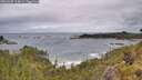 ./images/calvert/foggy-cove/20260605/foggy-cove20260605_114001M.jpg