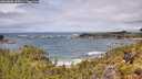 ./images/calvert/foggy-cove/20260605/foggy-cove20260605_121001M.jpg