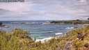 ./images/calvert/foggy-cove/20260605/foggy-cove20260605_122001M.jpg