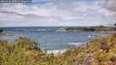 ./images/calvert/foggy-cove/20260605/foggy-cove20260605_124001M.jpg