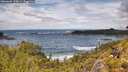 ./images/calvert/foggy-cove/20260605/foggy-cove20260605_124501M.jpg