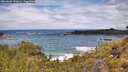 ./images/calvert/foggy-cove/20260605/foggy-cove20260605_125001M.jpg