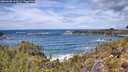 ./images/calvert/foggy-cove/20260605/foggy-cove20260605_125501M.jpg