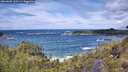 ./images/calvert/foggy-cove/20260605/foggy-cove20260605_130501M.jpg