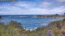 ./images/calvert/foggy-cove/20260605/foggy-cove20260605_131501M.jpg