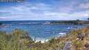 ./images/calvert/foggy-cove/20260605/foggy-cove20260605_132002M.jpg
