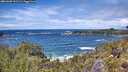 ./images/calvert/foggy-cove/20260605/foggy-cove20260605_132501M.jpg
