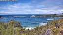 ./images/calvert/foggy-cove/20260605/foggy-cove20260605_133001M.jpg