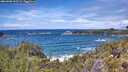 ./images/calvert/foggy-cove/20260605/foggy-cove20260605_133501M.jpg