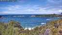 ./images/calvert/foggy-cove/20260605/foggy-cove20260605_134001M.jpg
