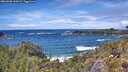 ./images/calvert/foggy-cove/20260605/foggy-cove20260605_134501M.jpg