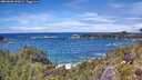 ./images/calvert/foggy-cove/20260605/foggy-cove20260605_135001M.jpg