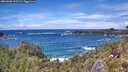 ./images/calvert/foggy-cove/20260605/foggy-cove20260605_135502M.jpg
