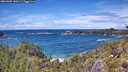 ./images/calvert/foggy-cove/20260605/foggy-cove20260605_140501M.jpg