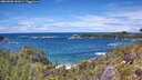 ./images/calvert/foggy-cove/20260605/foggy-cove20260605_141001M.jpg