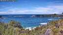 ./images/calvert/foggy-cove/20260605/foggy-cove20260605_141501M.jpg