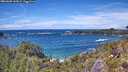 ./images/calvert/foggy-cove/20260605/foggy-cove20260605_142001M.jpg