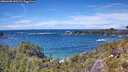 ./images/calvert/foggy-cove/20260605/foggy-cove20260605_142501M.jpg